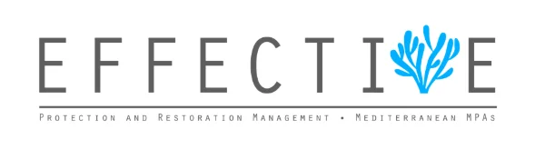 EFFECTIVE%20EU_Effective%20-%20Grey%20on%20White